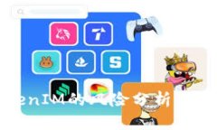 导入TokenIM的风险分析与应