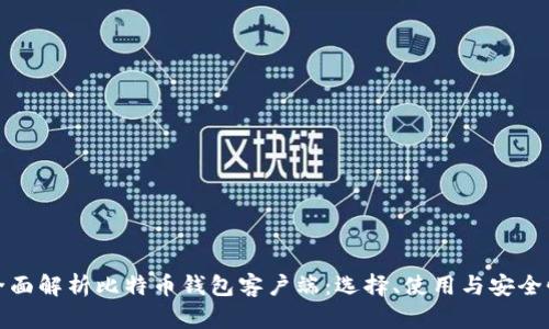 全面解析比特币钱包客户端：选择、使用与安全性