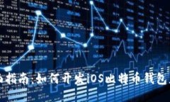 全面指南：如何开发iOS比