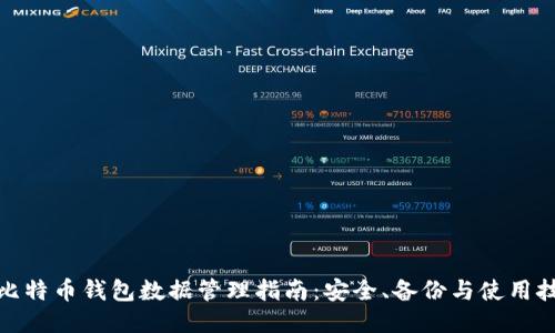 : 比特币钱包数据管理指南：安全、备份与使用技巧