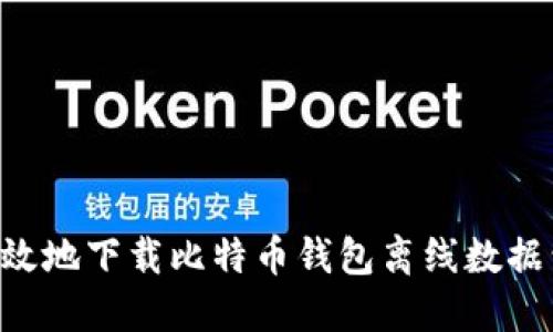 如何安全高效地下载比特币钱包离线数据包：全面指南