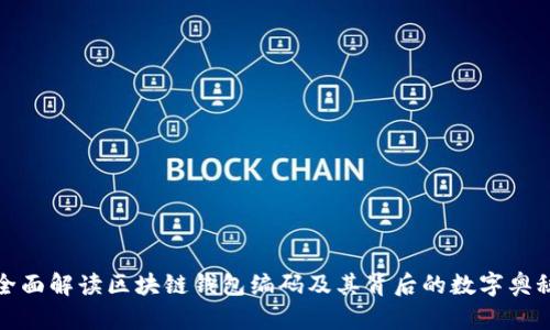 全面解读区块链钱包编码及其背后的数字奥秘