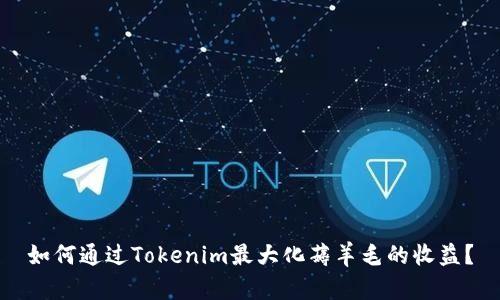 如何通过Tokenim最大化薅羊毛的收益？