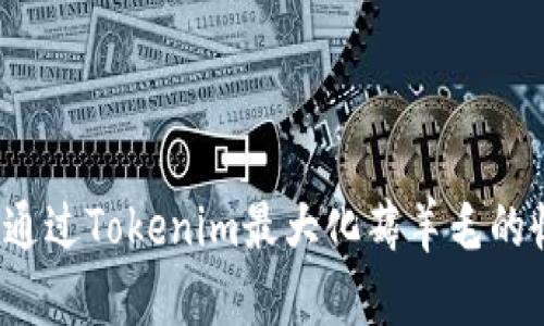 如何通过Tokenim最大化薅羊毛的收益？