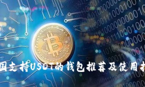 中国支持USDT的钱包推荐及使用指南