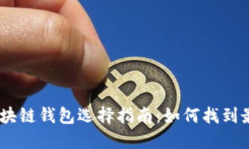 支持USDT的区块链钱包选择指南：如何找到最适合你的钱包