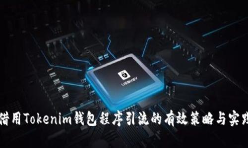 借用Tokenim钱包程序引流的有效策略与实践