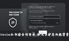 Tokenim私钥安全性分析：如