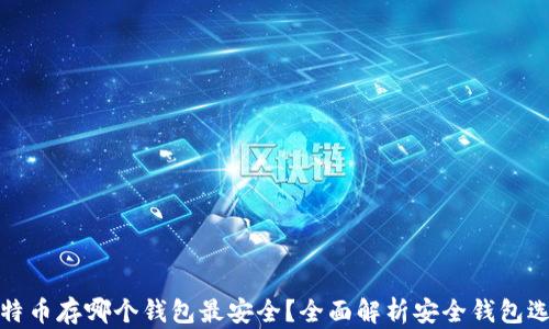 
比特币存哪个钱包最安全？全面解析安全钱包选择