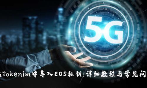 如何在Tokenim中导入EOS私钥：详细教程与常见问题解答
