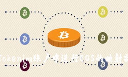 如何在Tokenim账户中进行EOS的映射操作指南
