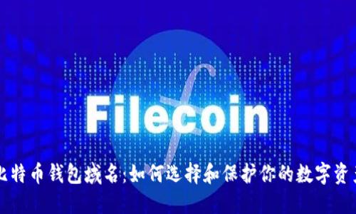 比特币钱包域名：如何选择和保护你的数字资产