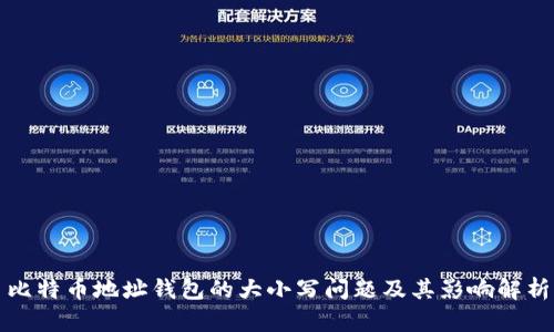 比特币地址钱包的大小写问题及其影响解析