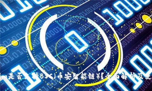 Tokenim是否支持BSC（币安智能链）？全面解析及使用指南