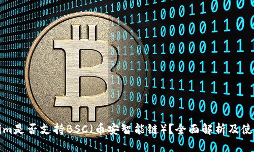 Tokenim是否支持BSC（币安智能链）？全面解析及使用指南