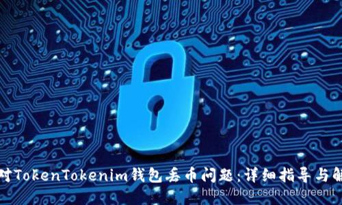 如何应对TokenTokenim钱包丢币问题：详细指导与解决方案
