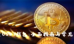 如何创建USDT钱包：全面指