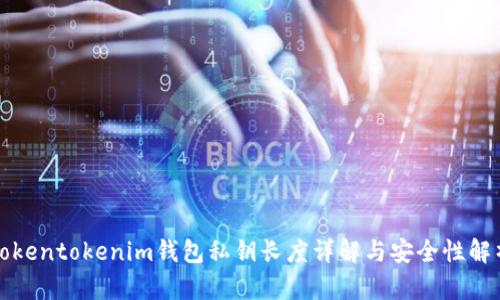 Tokentokenim钱包私钥长度详解与安全性解析