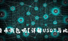 USDT能放在比特币钱包吗？