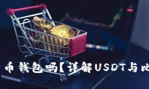 USDT能放在比特币钱包吗？详解USDT与比特币钱包的关系