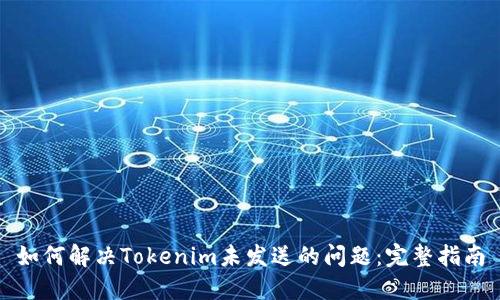 如何解决Tokenim未发送的问题：完整指南