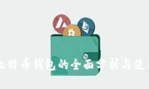 中国比特币钱包的全面分析与使用指南