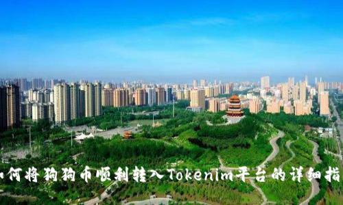 如何将狗狗币顺利转入Tokenim平台的详细指南