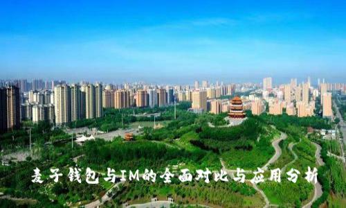 麦子钱包与IM的全面对比与应用分析