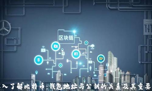 
深入了解比特币：钱包地址与公钥的关系及其重要性
