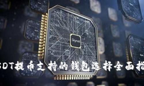 USDT提币支持的钱包选择全面指南
