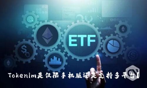 Tokenim是仅限手机版还是支持多平台？