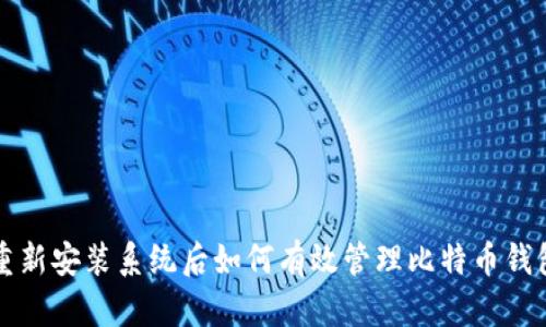 重新安装系统后如何有效管理比特币钱包