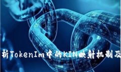深入解析TokenIm中的KIN映射
