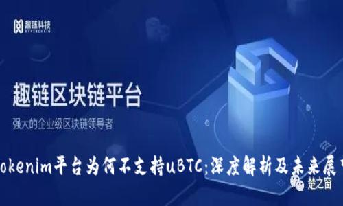 Tokenim平台为何不支持uBTC：深度解析及未来展望