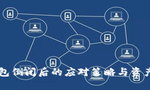 区块链钱包倒闭后的应对策略与资产保护指南