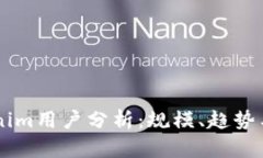 国内Tokenim用户分析：规模