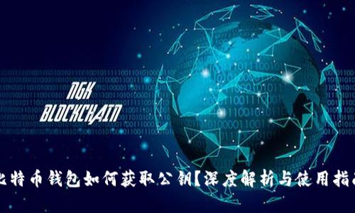 比特币钱包如何获取公钥？深度解析与使用指南