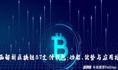 全面解析区块链BT支付钱包