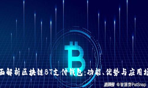 全面解析区块链BT支付钱包：功能、优势与应用场景