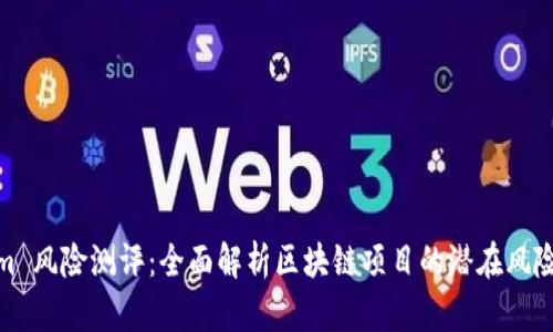 Tokenim 风险测评：全面解析区块链项目的潜在风险与机遇