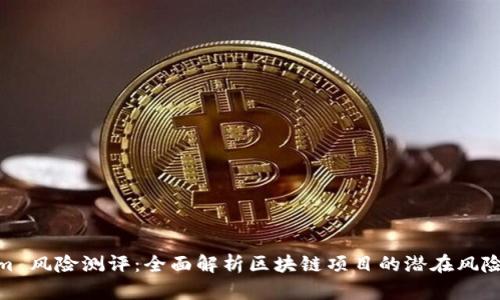Tokenim 风险测评：全面解析区块链项目的潜在风险与机遇