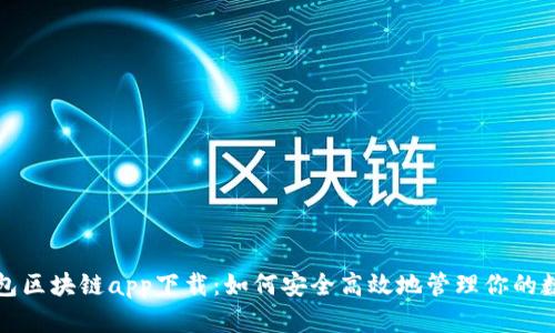 数字钱包区块链app下载：如何安全高效地管理你的数字资产