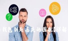 怎样处理虚拟币钱包钥匙