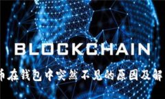 USDT币在钱包中突然不见的