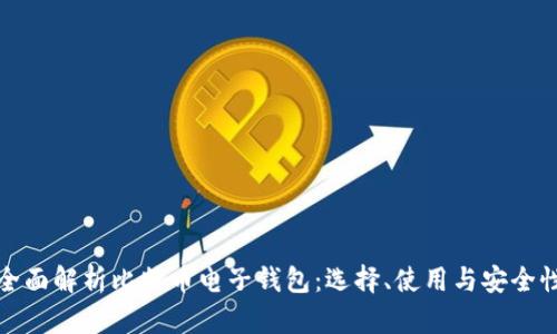 全面解析比特币电子钱包：选择、使用与安全性