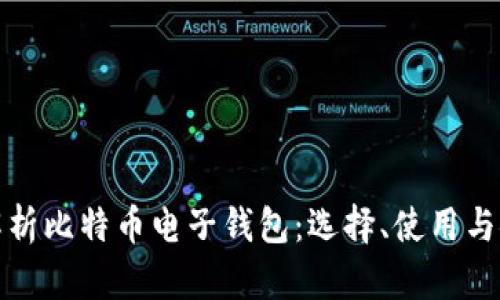 全面解析比特币电子钱包：选择、使用与安全性