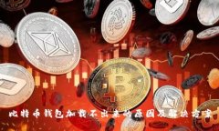 比特币钱包加载不出来的