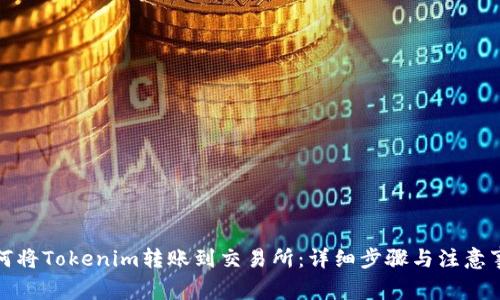 如何将Tokenim转账到交易所：详细步骤与注意事项