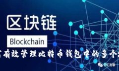 如何有效管理比特币钱包