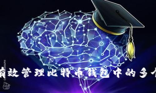 如何有效管理比特币钱包中的多个地址